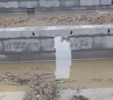 Evolution vide sanitaire