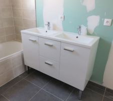 Meuble de salle de bain posé