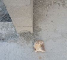 Ils ont oubli&eacute; le trou d'&eacute;vacuation des WC de l'&eacute;tage vers le vide sanitaire, erreur de plan d ex&eacute;cution du constructeur