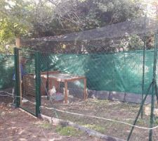 Installation du poulailler donne par le département pour éliminer les dechers
les première a habite la maison