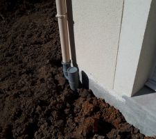 Pourquoi ce n'est pas de la même couleur?!Lol