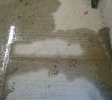 Infiltrations d'eau au sous-sol