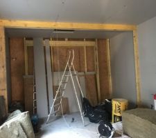 Isolation laine de roche du c&ocirc;t&eacute; fa&ccedil;ade int&eacute;rieure, elle sera faite ext&eacute;rieur sur l?autre partie de maison en laine de bois, sur le sol du grenier isolation de laine de coton je crois pulv&eacute;ris&eacute; par machine, il restera isolation sol