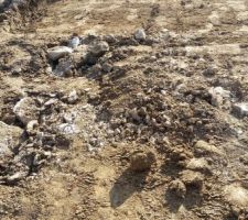 Un peu de roche sur le chemin d'accès