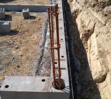 21-06-2017 Suite du vide sanitaire.