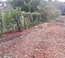 Situation du terrain