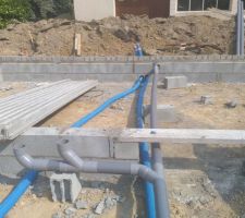 22-06-2017 Vide sanitaire en cours