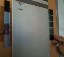 Faience murale WC 1&sup2;2   frise grise pour &eacute;tage et mauve pour RdC