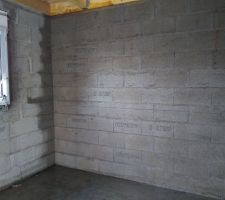 04-11-2017, la fuite d'eau progresse depuis qu'elle a commenc&eacute;e.
encore un effort pour la piscine...