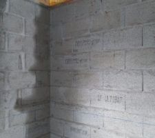 08-11-2017 Structure bois ayant pris l'eau depuis plusieurs jours, voir plusieurs semaines... Mur d&eacute;tremp&eacute;. Malgr&eacute; les messages et relances.