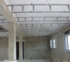 Pour la pose du plafond ???