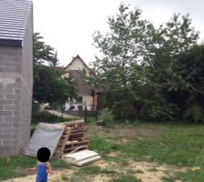 La maison des voisins avance, le saule est coup&eacute;.