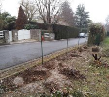 Tout est scié et la moitié est désouchée.