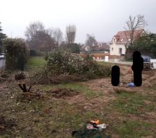 Cela fait une montagne de "déchets" verts.