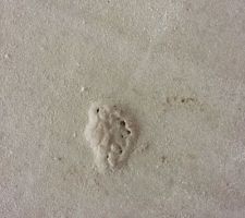 ??