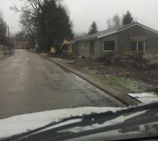 Location d?une mini pelle pour enlever la haie