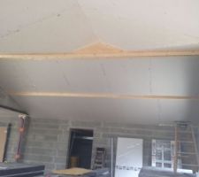 Plafond rdc