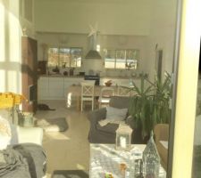 Canapé,chaises table ikea d occasion  leboncoin, nappe peppy grace,tissus nooz donc provenance divers mais souvent du danois, suédois (bruka, broske pour vaisselle) a petit prix comme les coussins et petite objet de deco. Cuisine kvik cheminé Stuv
Chat de rue et plantes de recup.
