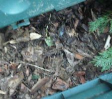 Le compost