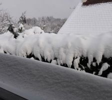 Hiver 2017 No comment
