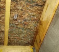 13-12-2017 Charpente humide suite a défaut d'étanchéité, sous toiture revêtue de champignons suite défaut de ventilation.