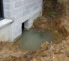 Vide sanitaire du voisin inondé : problématique ou ça sert à ça ?