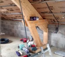 Début du doublage des rampants: 30 cm d'Isoconfort 35, R=8,50 m².K/W.
Bye bye belle charpente. Quasiment tout sera plaqué.