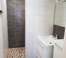 Salle d'eau rdc