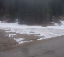 La neige s'éternise, elle a bien fondu la semaine dernière, mais j'accélère la fonte en épandant des cendres de mon poêle, comme le faisaient les agriculteurs en montagne à l'époque des hivers neigeux et du chauffage à la cuisinière à bois (baisse de l'albédo, fonte rapide).