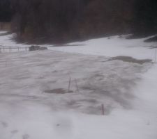 La neige s'éternise, elle a bien fondu la semaine dernière, mais j'accélère la fonte en épandant des cendres de mon poêle, comme le faisaient les agriculteurs en montagne à l'époque des hivers neigeux et du chauffage à la cuisinière à bois (baisse de l'albédo, fonte rapide).