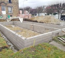Lancement du vide sanitaire.