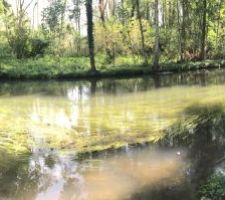 Le Bord de Rivière, 100m plus loin