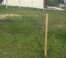 Implantation faite. Reste à croiser les doigts pour que la souche à déterrer ne les freinent pas trop lors du terrassement... fingers crossed!