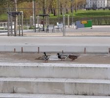 Nos futurs voisins