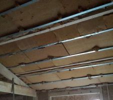 Plafond pièce des vie