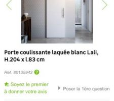 Porte pour galandage salle d'eau/ chambre .