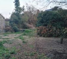 Nous avons trouv&eacute;s notre terrain de 750 m&sup2; avec sur celui ci un cabanon a d&eacute;truire