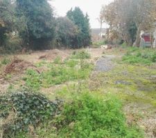 Nous avons trouv&eacute;s notre terrain de 750 m&sup2; avec sur celui ci un cabanon a d&eacute;truire