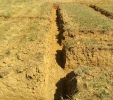 Aussi t&ocirc;t creus&eacute;es aussi t&ocirc;t coul&eacute;es....