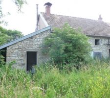 La façade en pierre et sa jungle