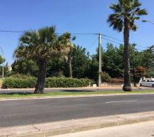 Vue du terrain depuis la route (caché derrière les arbres), le portail est devant la voiture blanche à droite de la photo.