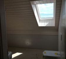 Vue SDB avec les WC que l on a déporté sur la droite sous le velux