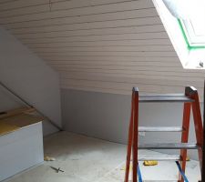 Fin pose lambris SDB du 2eme