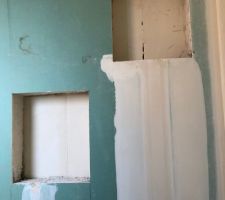 Niches de la douche