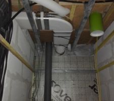 Conduit hôte
