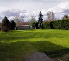 Jardin la pelouse pousse :-)