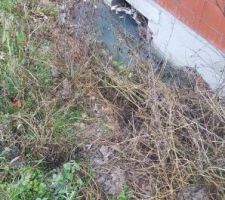 Le vide sanitaire plein d'eau depuis 9 mois