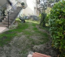 Le gazon continue &agrave; pousser