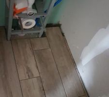 Carrelage wc