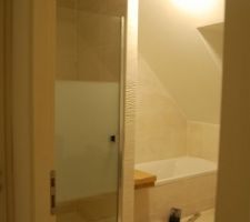 Pose porte de douche.